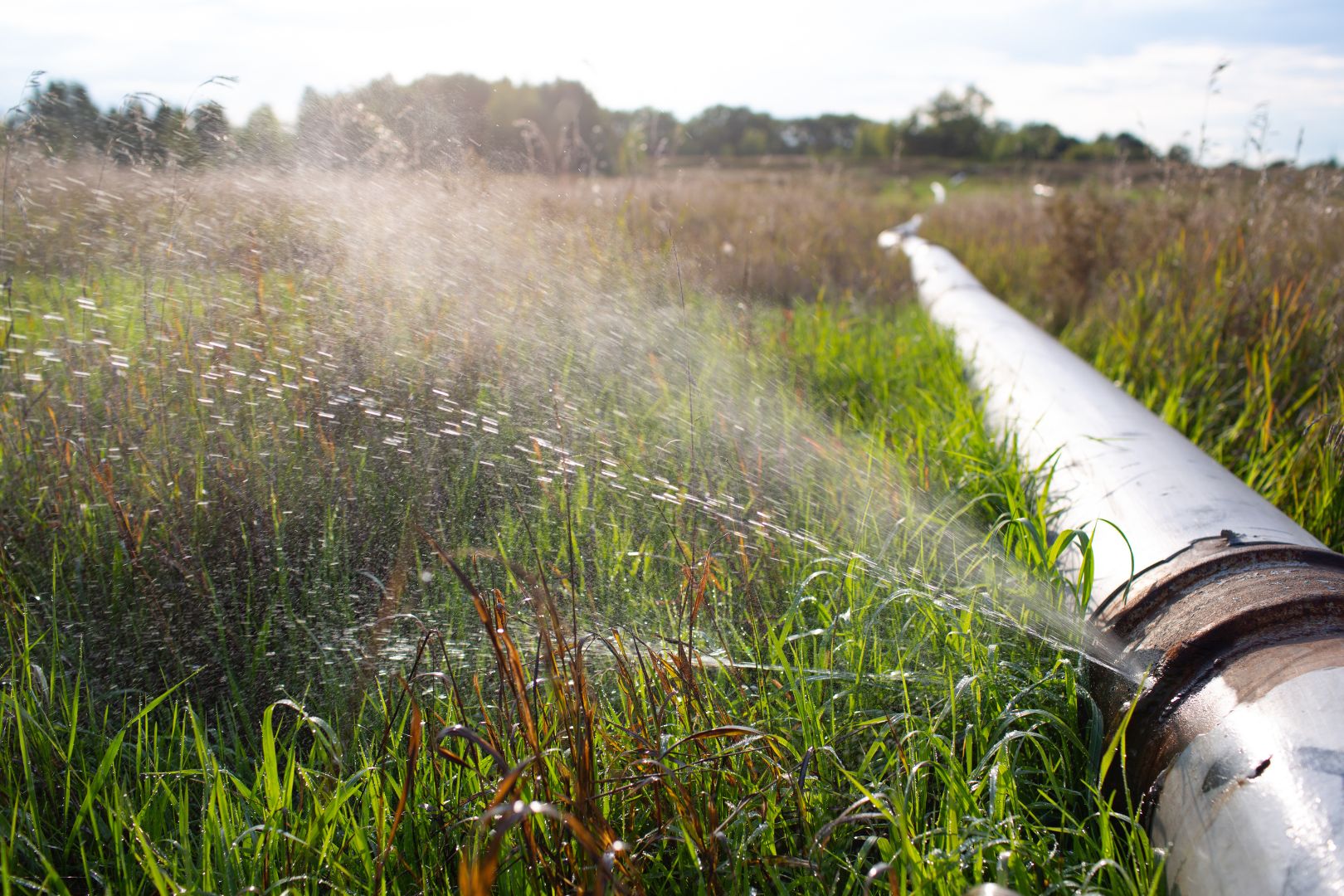 Como Descobrir Vazamentos Sem Precisar de Equipamentos Caros